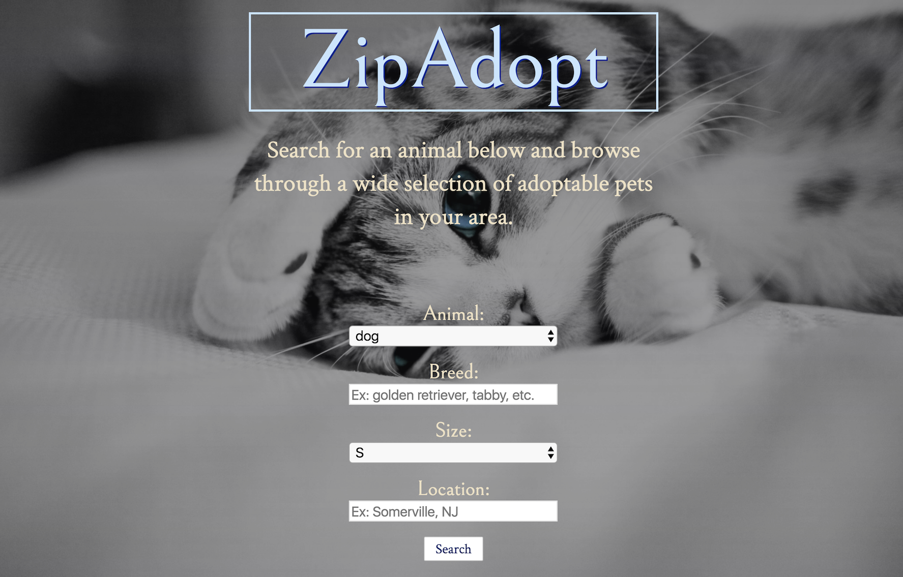 Zipadopt screenshot